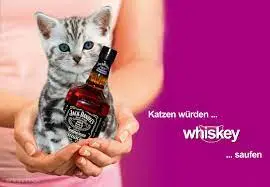 KatzenwürdenWhiskeysaufen.jpg