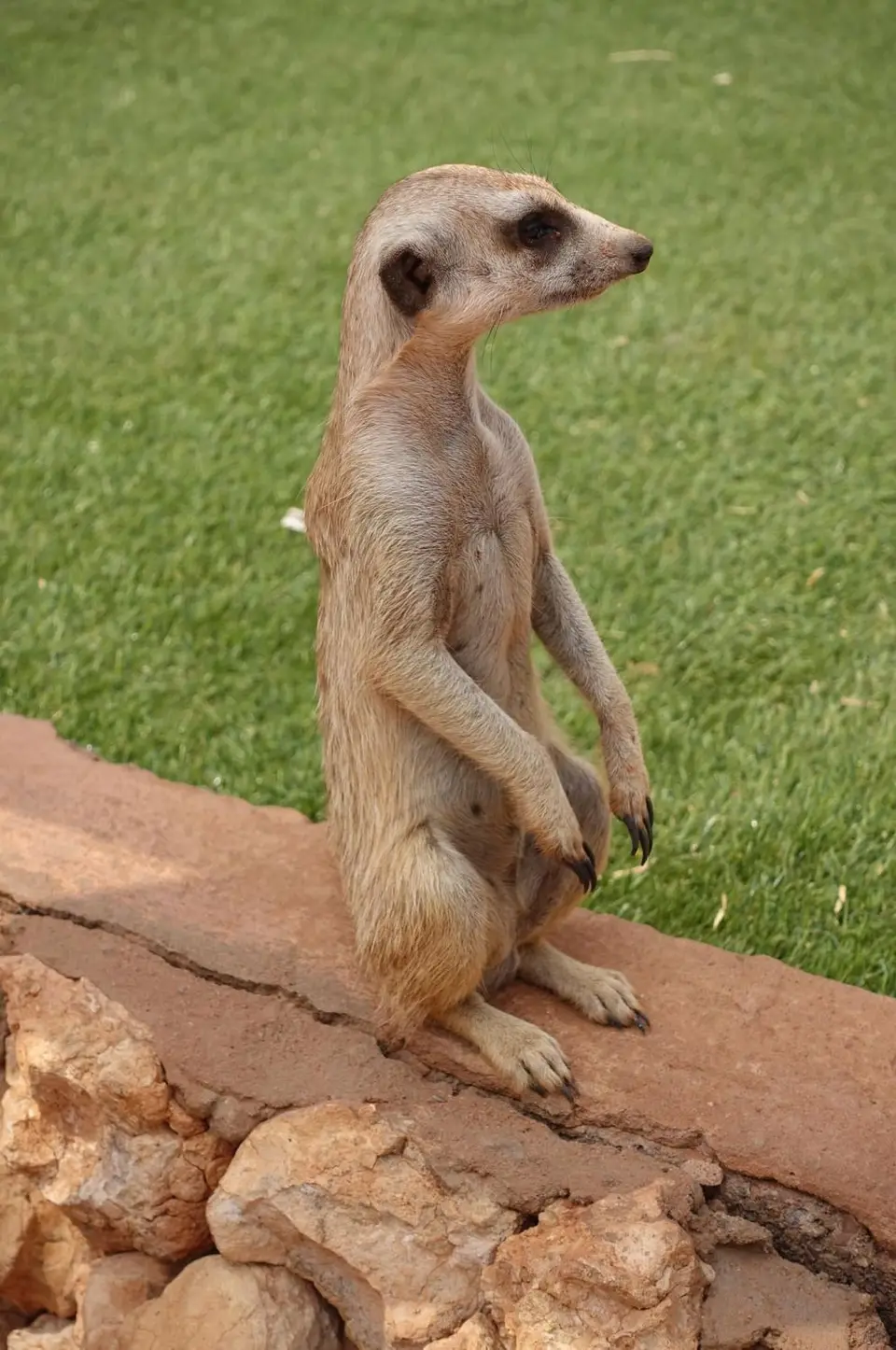 Kalahari2.jpg
