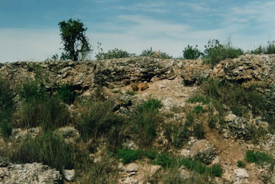 36-MEDIAFIX_3391.jpg