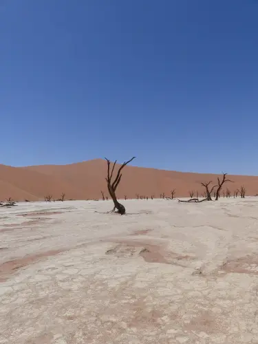 Deadvlei_500px.png