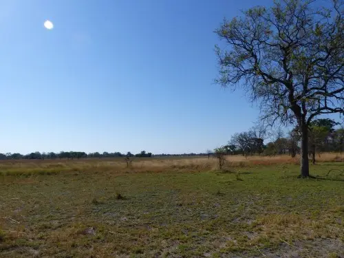 Landschaft.JPG