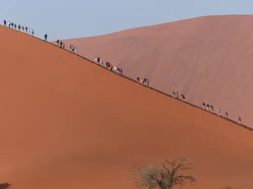 Wüste4_500px.png