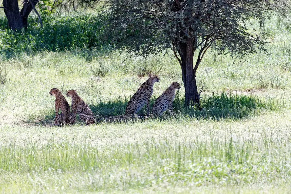 JENS3386_DxO.jpg