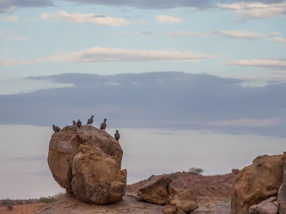 k-Namibia2019(210).jpg