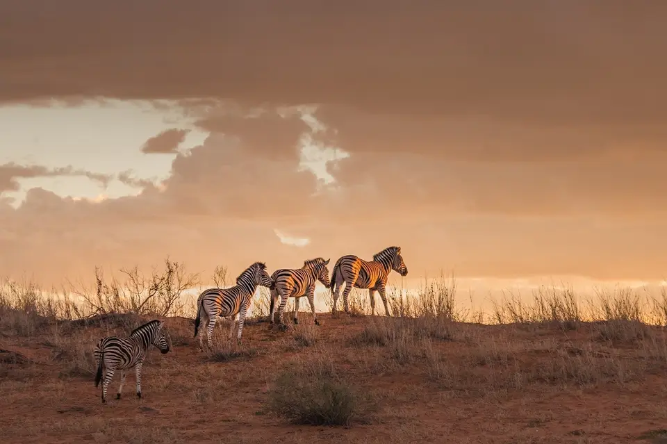 k-Namibia2019(31).jpg