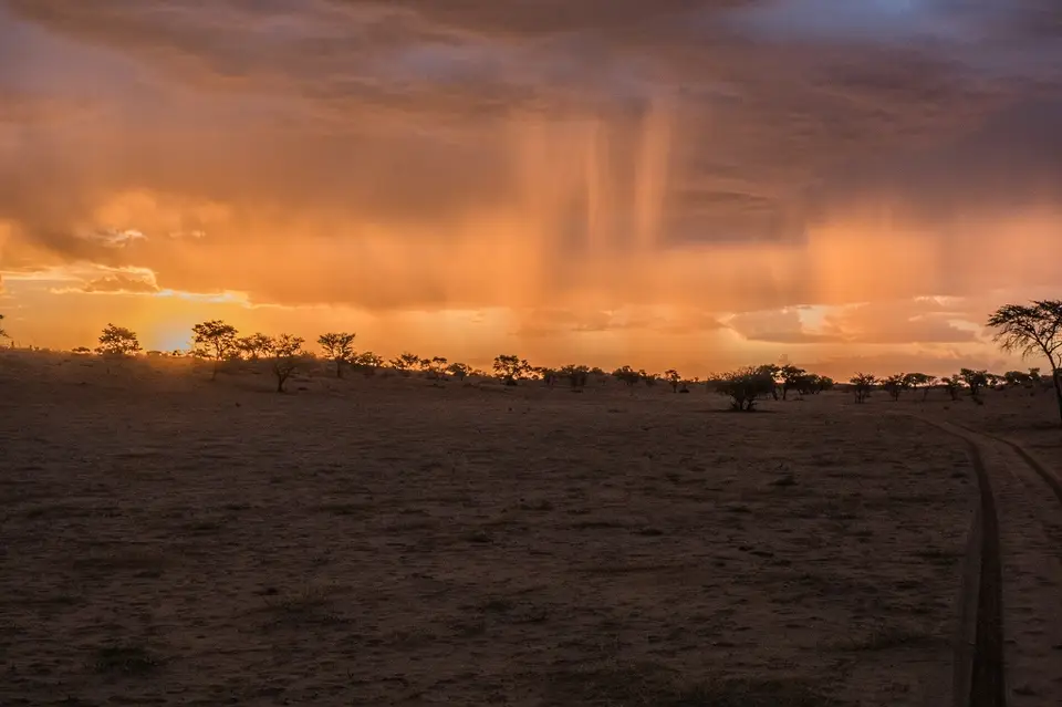 k-Namibia2019(32).jpg