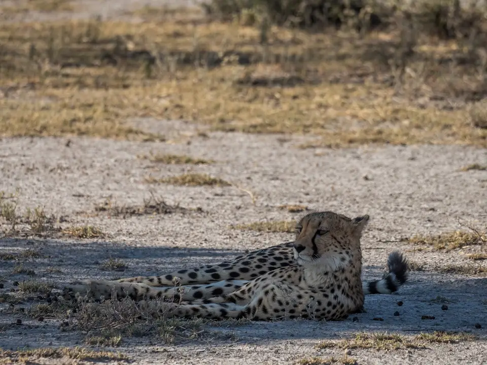 k-Namibia2019(351).jpg