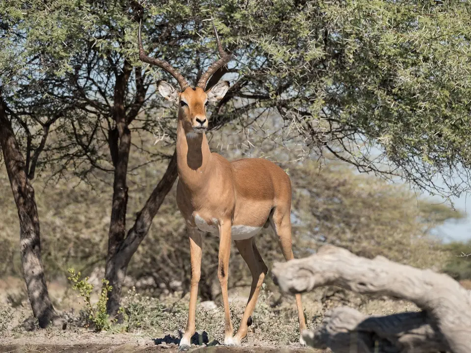 k-Namibia2019(356).jpg
