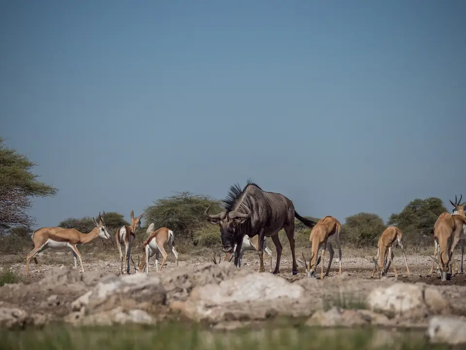 k-Namibia2019(360).jpg