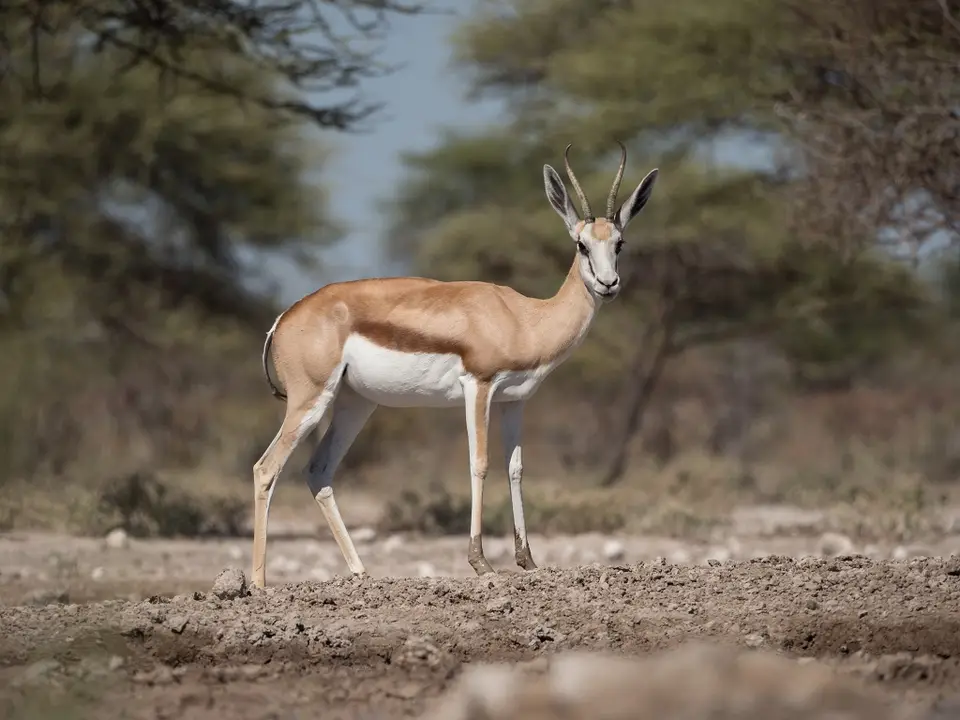 k-Namibia2019(361).jpg