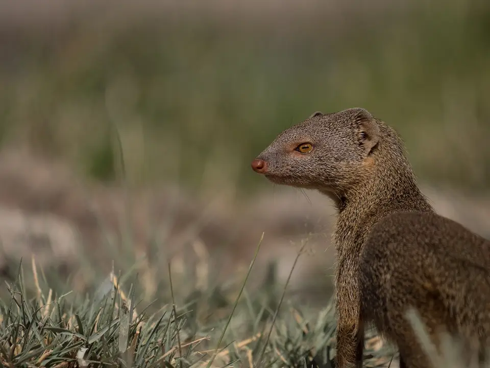 k-Namibia2019(363).jpg