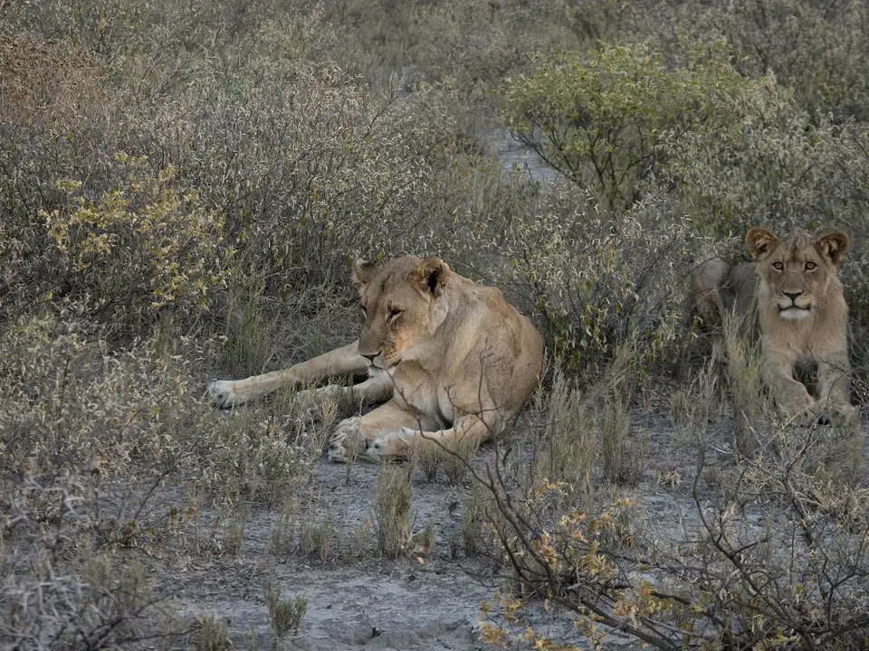 k-Namibia2019(371).jpg