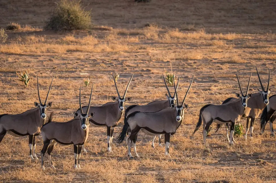 k-Namibia2019(44).jpg