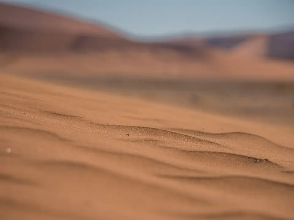 k-Namibia2019(51).jpg