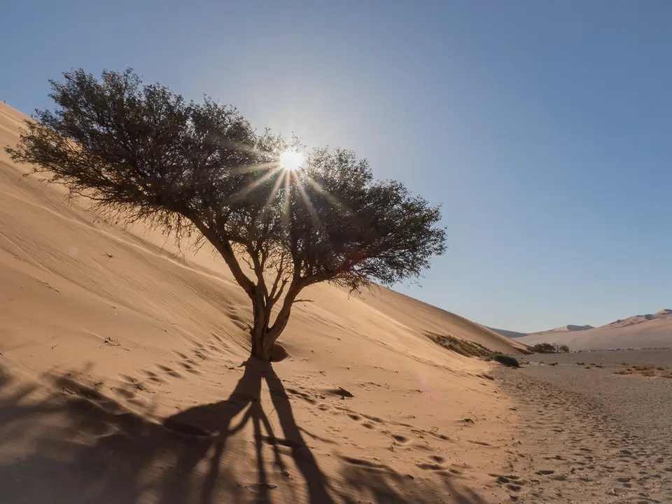 k-Namibia2019(62).jpg