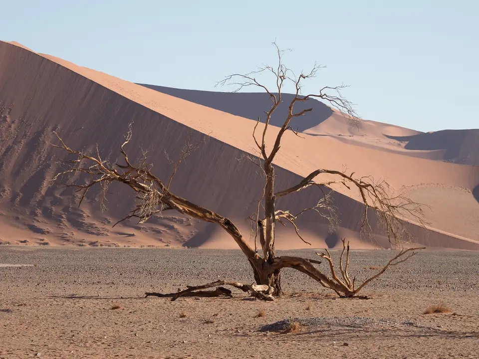 k-Namibia2019(63).jpg