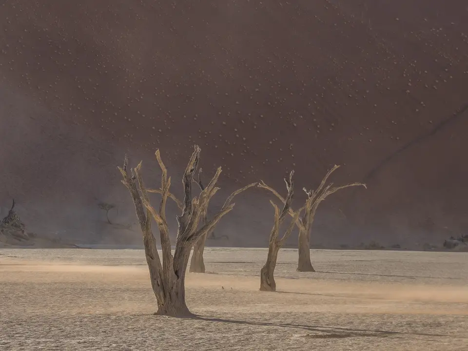 k-Namibia2019(73).jpg