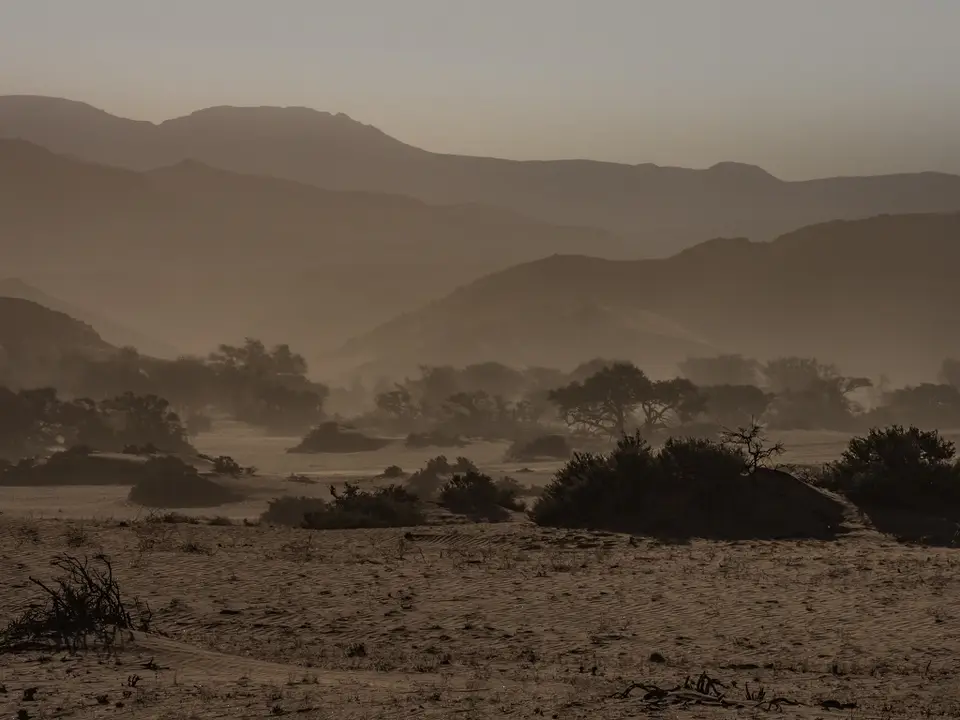k-NamibiaimFrühjahr2019(428).jpg