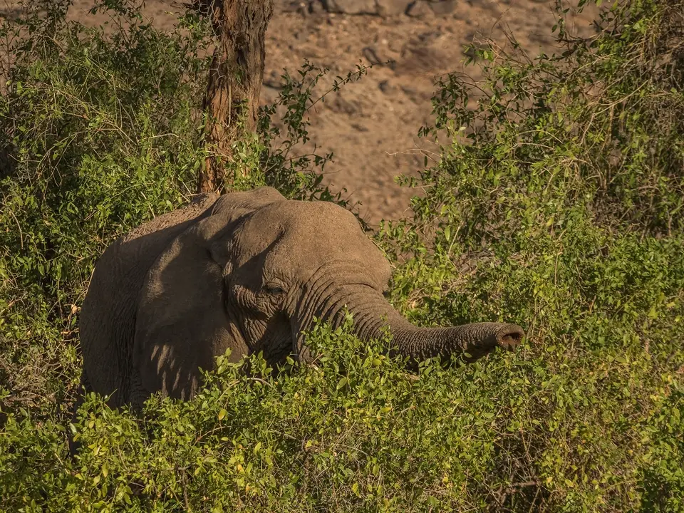 k-NamibiaimFrühjahr2019(440).jpg