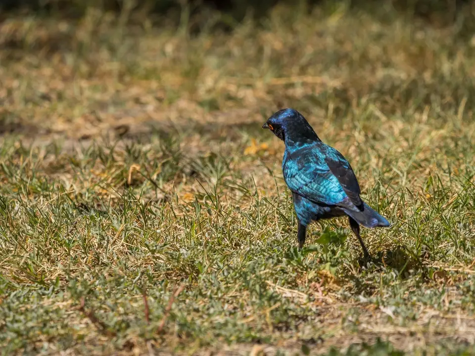 k-NamibiaimFrühjahr2019(493).jpg