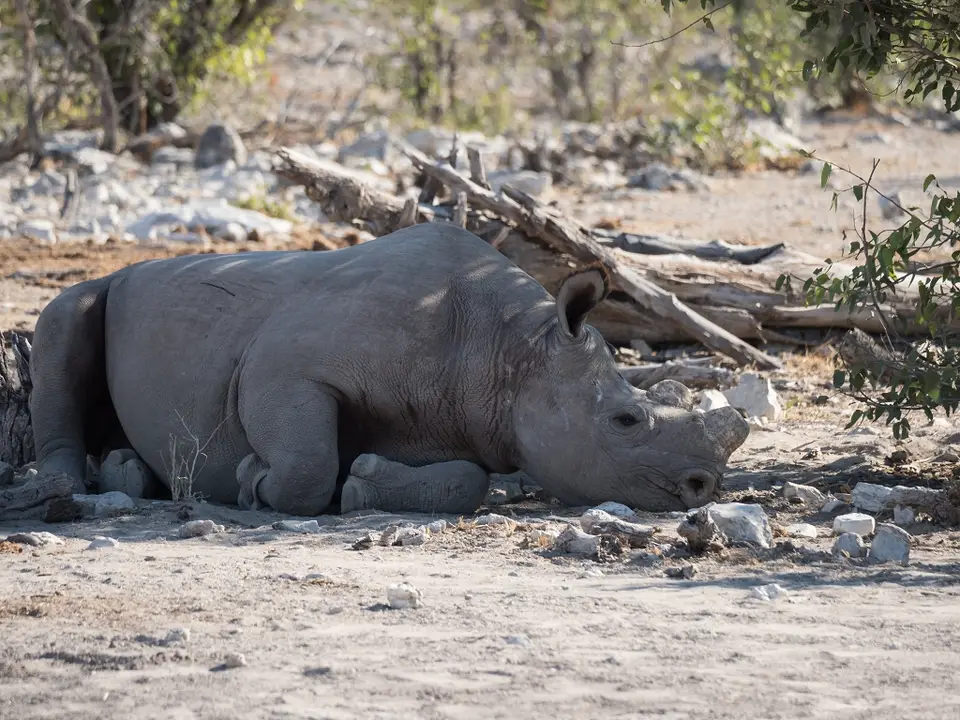 k-NamibiaimFrühjahr2019(548).jpg