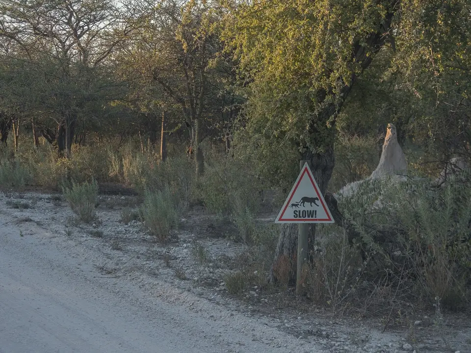 k-NamibiaimFrühjahr2019(561).jpg
