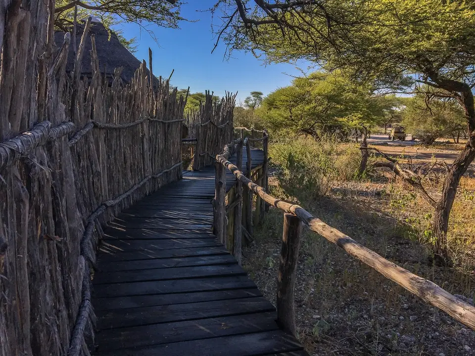 k-NamibiaimFrühjahr2019(570).jpg