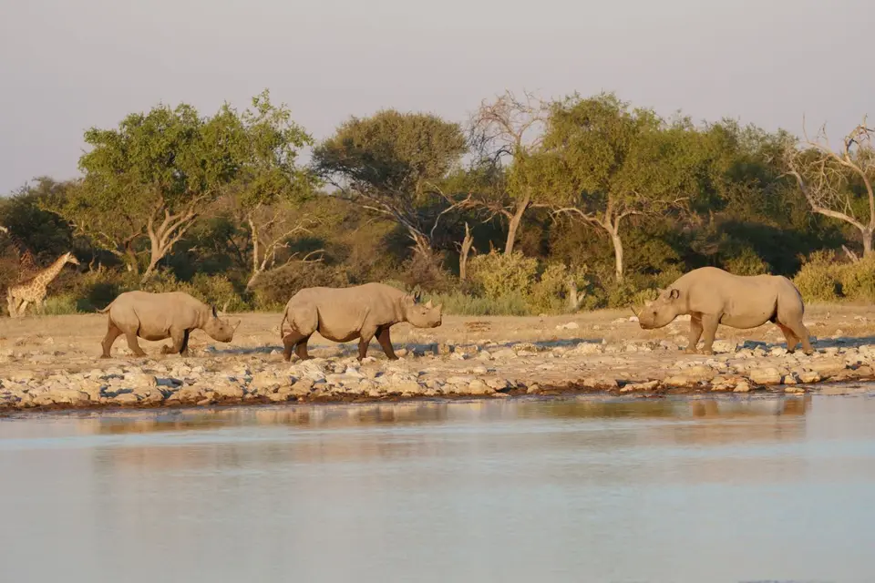 1079.JPG