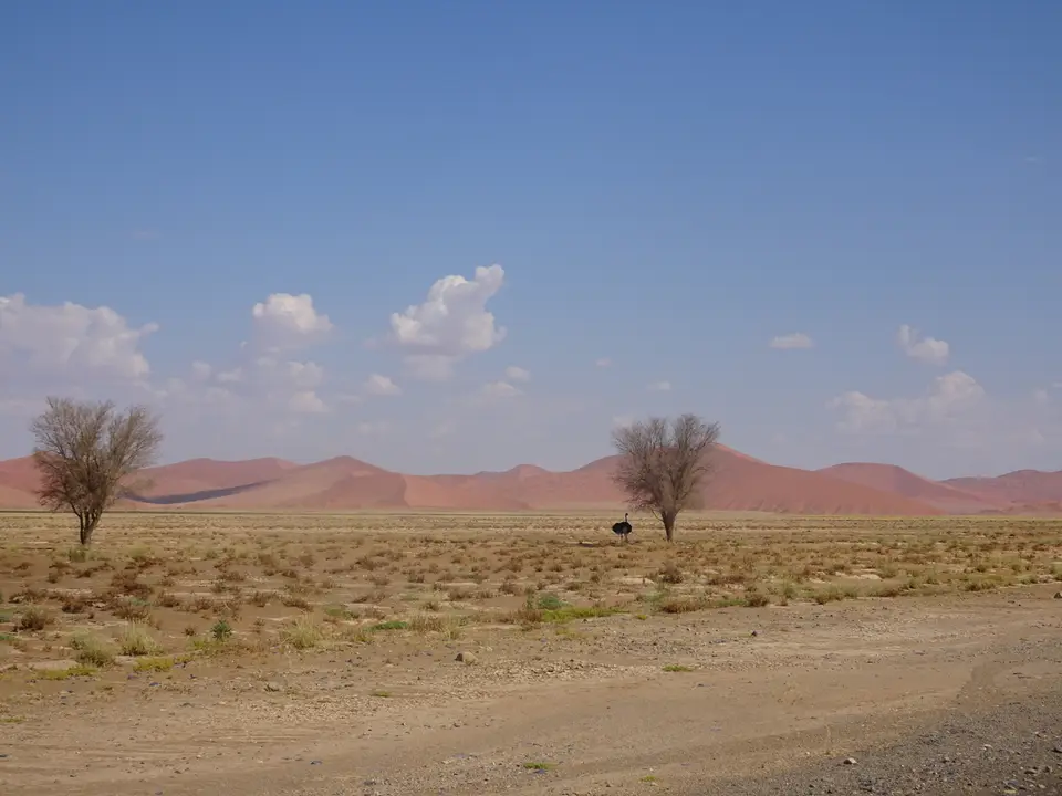 122.JPG