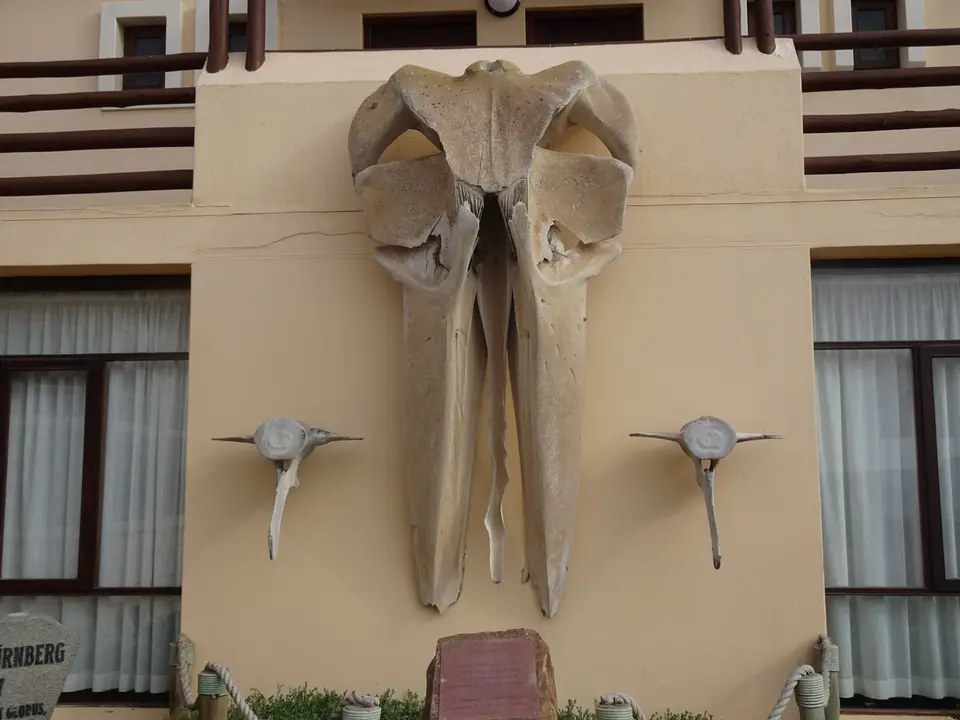 165.JPG