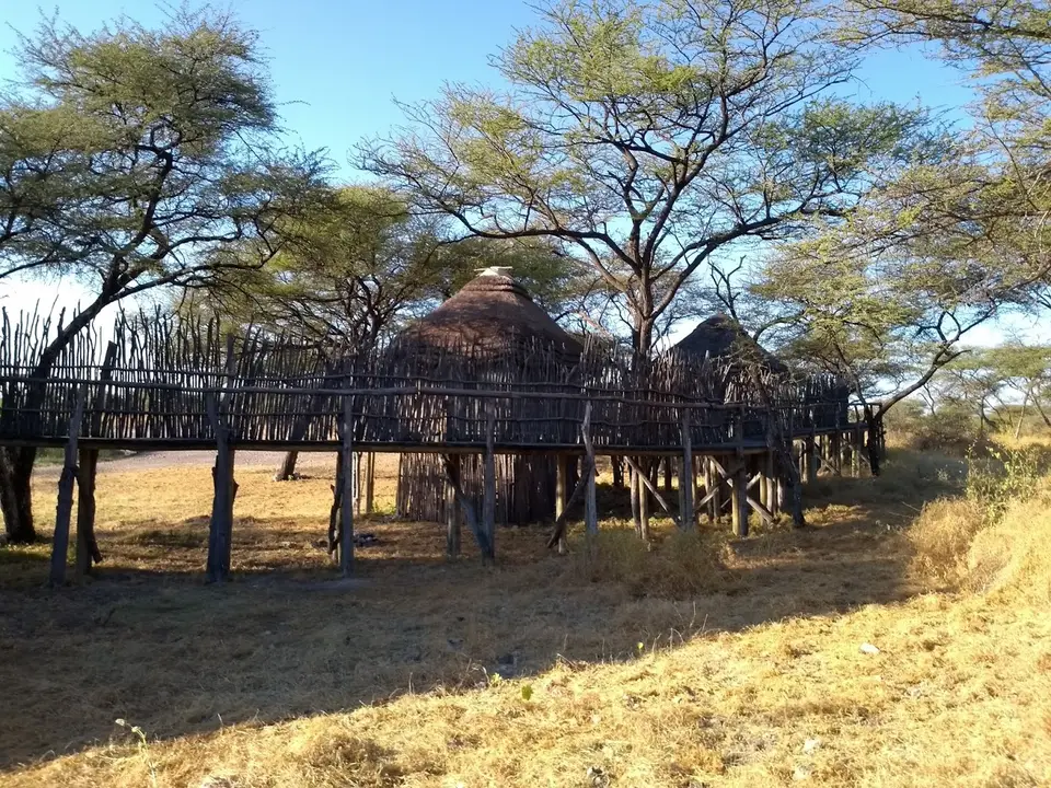 42.1TreetopsCamp.jpg