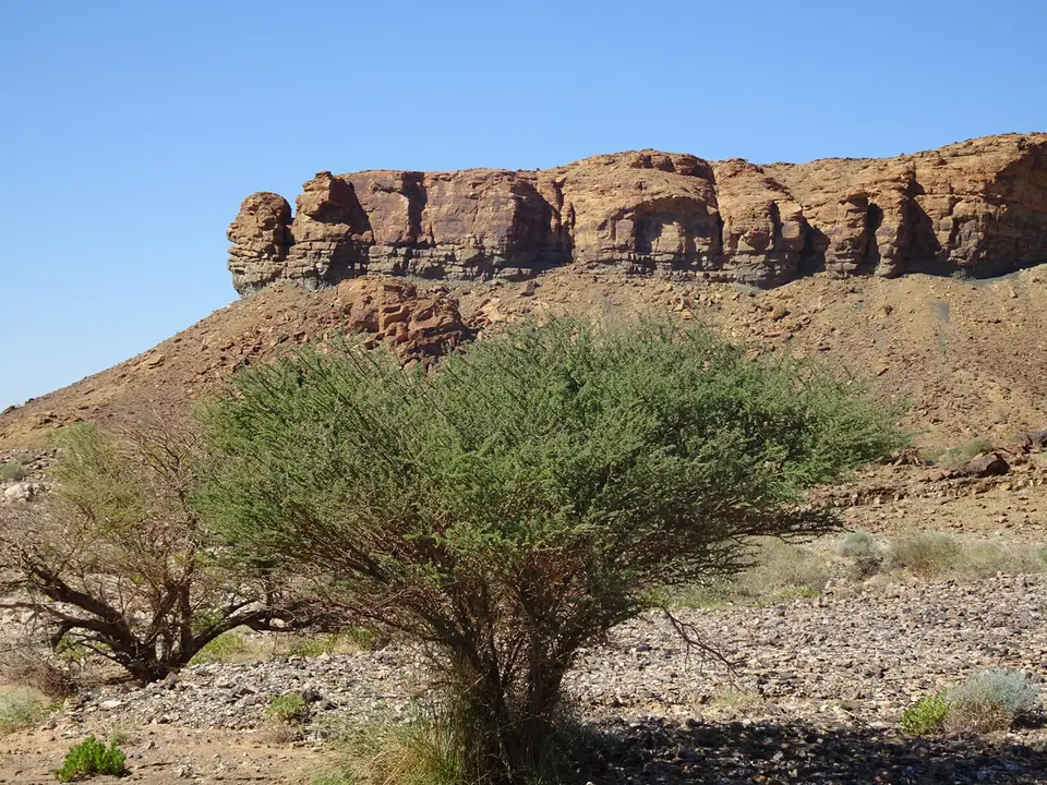 42Canyon.JPG