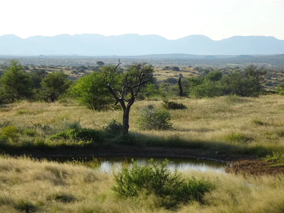 6AuasWasserloch.JPG