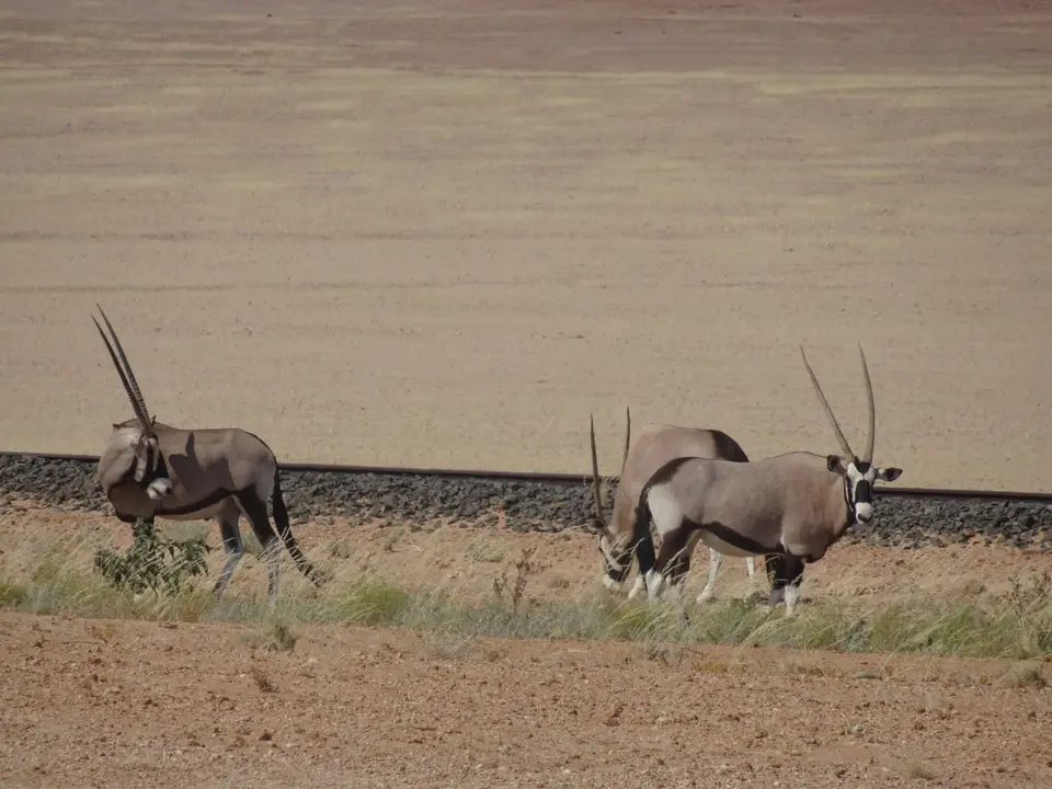 88.JPG