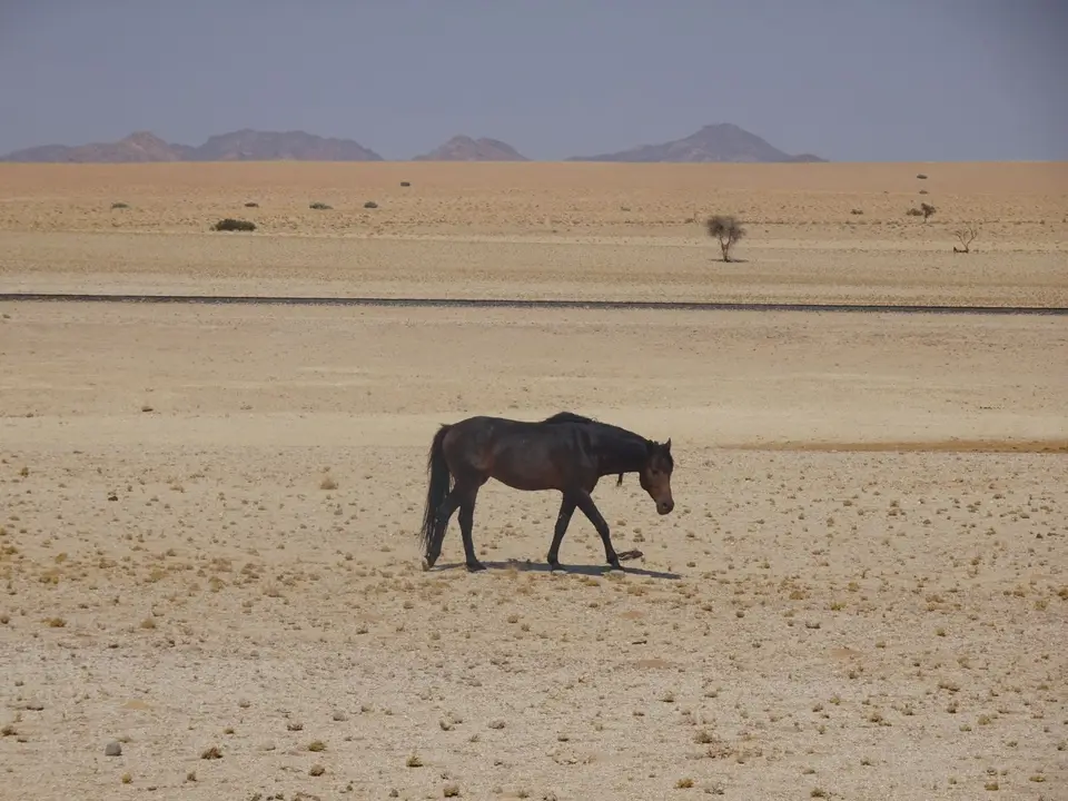 91.JPG
