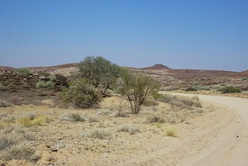 92Ontheroad.jpg