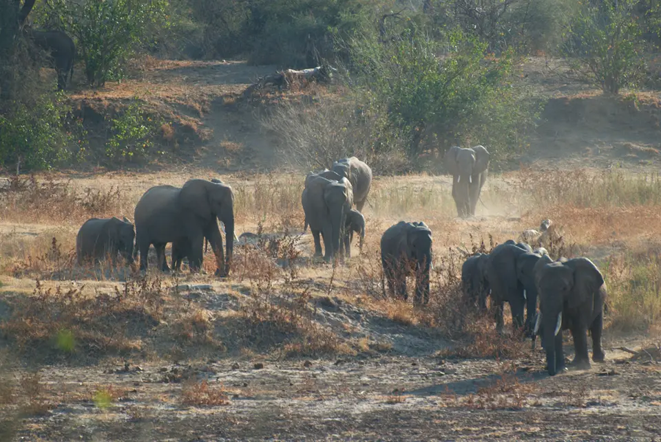MapungubweNP-KalahariCalling-2-3.jpg