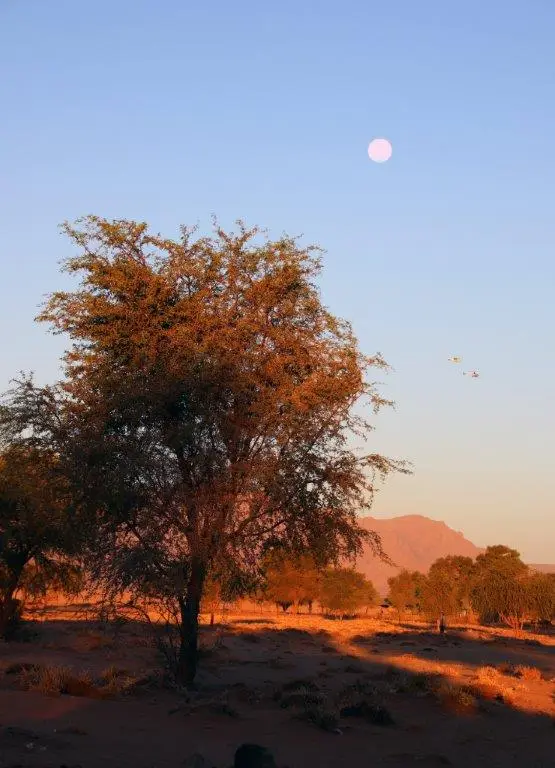 Cossusvlei_Camping.jpg
