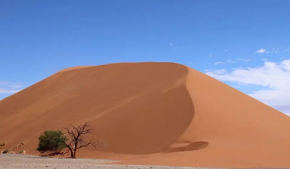 Dune45.jpg