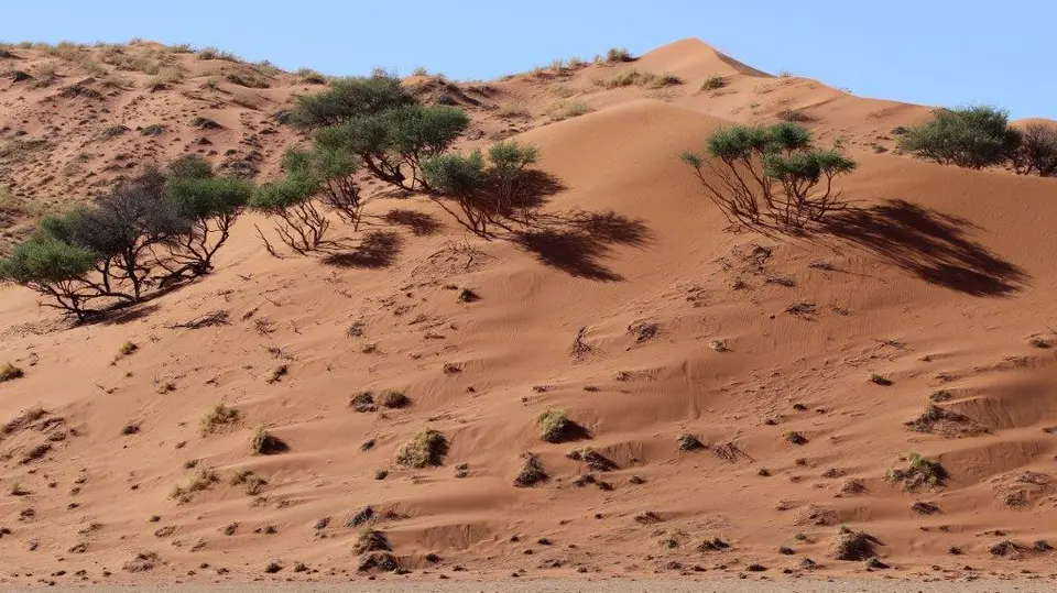 ElimDune.jpg