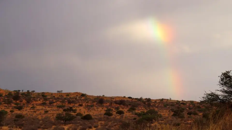 Regenbogen.jpg