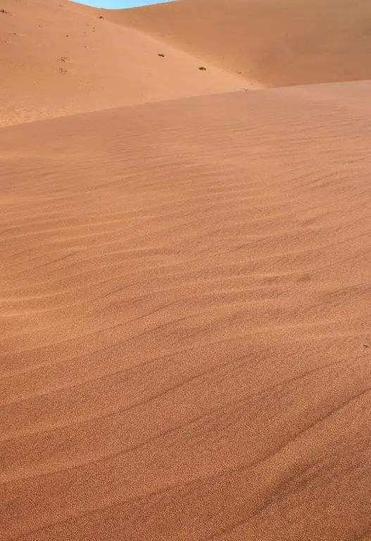 Sandwellen.jpg