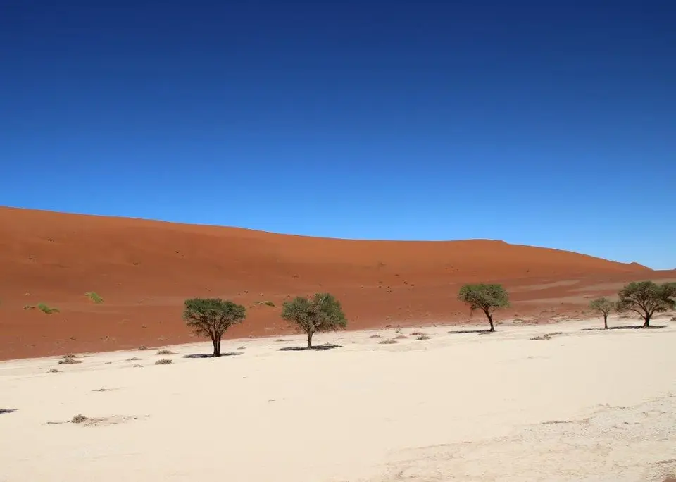 Sossulvlei_gruen.jpg