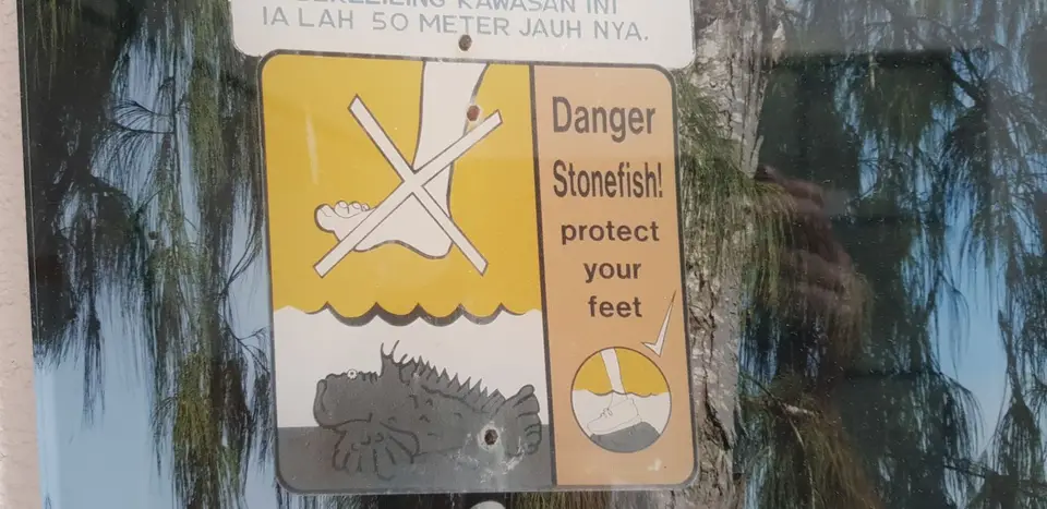 Stonefish.jpg