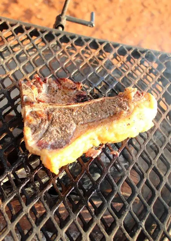 T-Bone.jpg