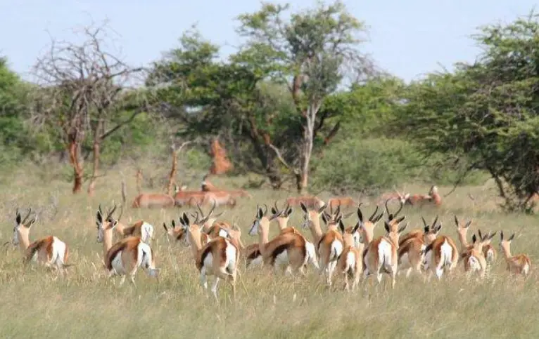 otjiwaLodge.jpg