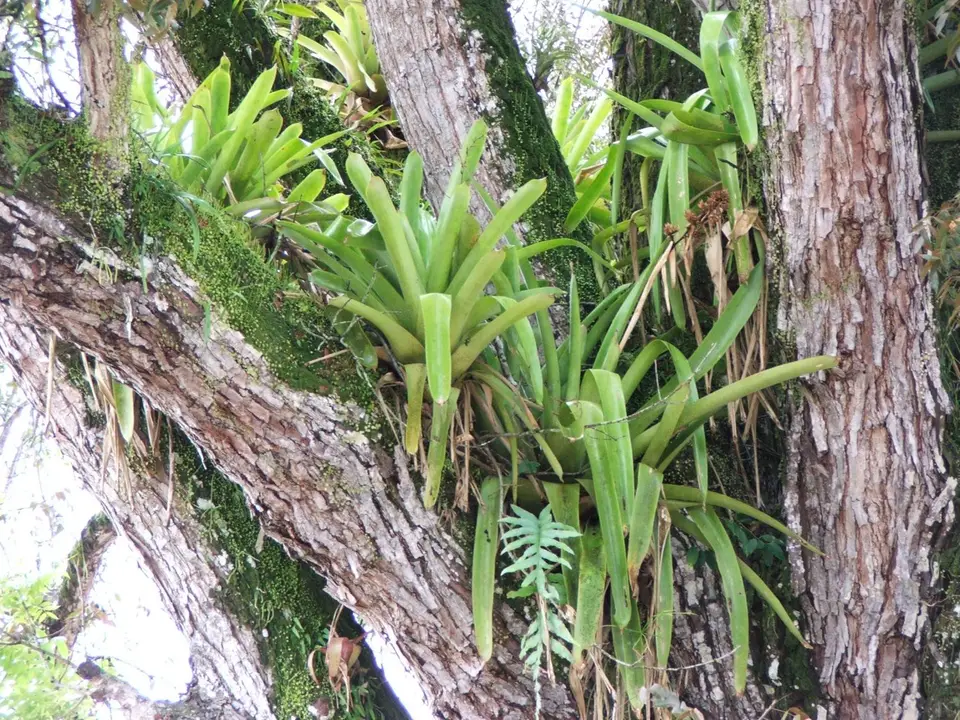 DSCF1061.JPG