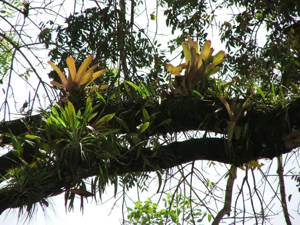 DSCF1176.JPG