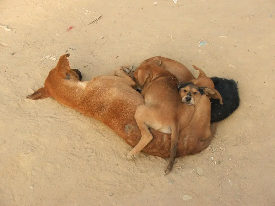 DSCF2498.JPG