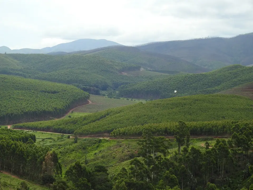 DSCN0548.JPG